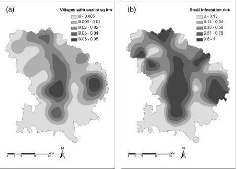 Fig. 4. (a) Kernel smoothed intensity of settlements withintensities of settlements with Indoplanorbis and/or Lymnaea spp