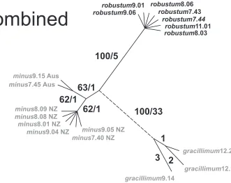 Figure 5. Unrooted parsimony tree from a combined analysis of the three sequence partitions