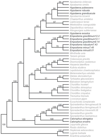 Figure 2. Strict consensus tree. The three species of Empodisma (highlighted in bold) emerge as a well-supported clade distinct from Calorophus and Hypolaena
