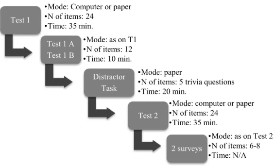 Figure 3. Diagram of the main study procedure 