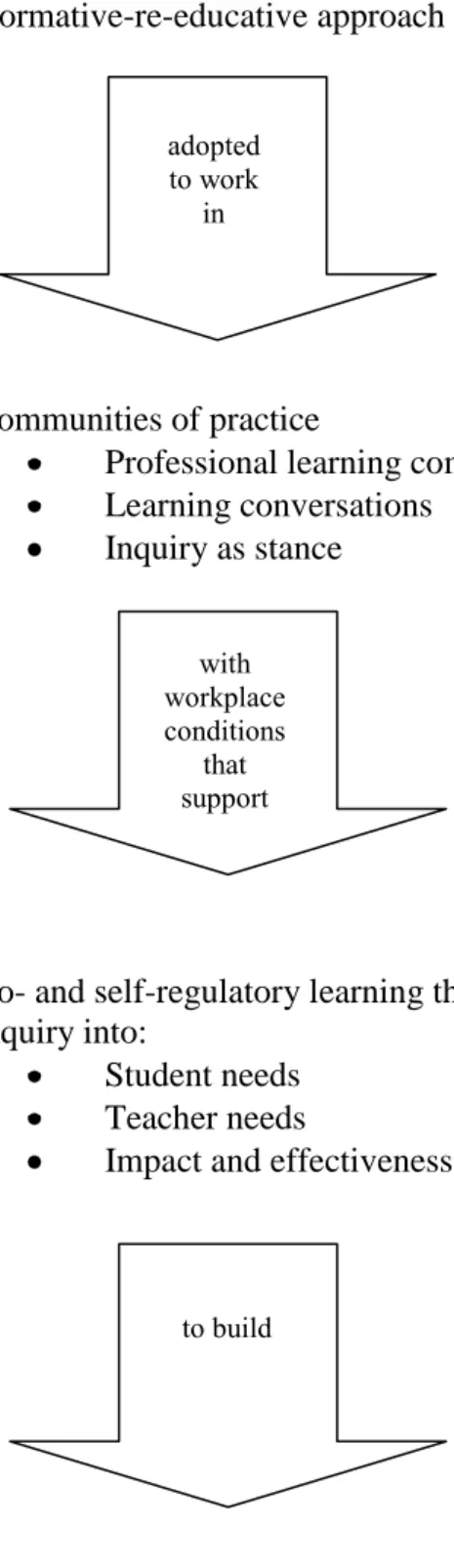 Figure 1:  Framework of underlying principles of influence on  transformative teaching practice 