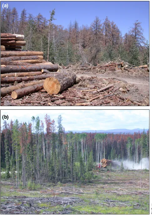 Figure 2. Salvage logging following bark beetle outbreaks in (a) southern California and (b) British Columbia, Canada.