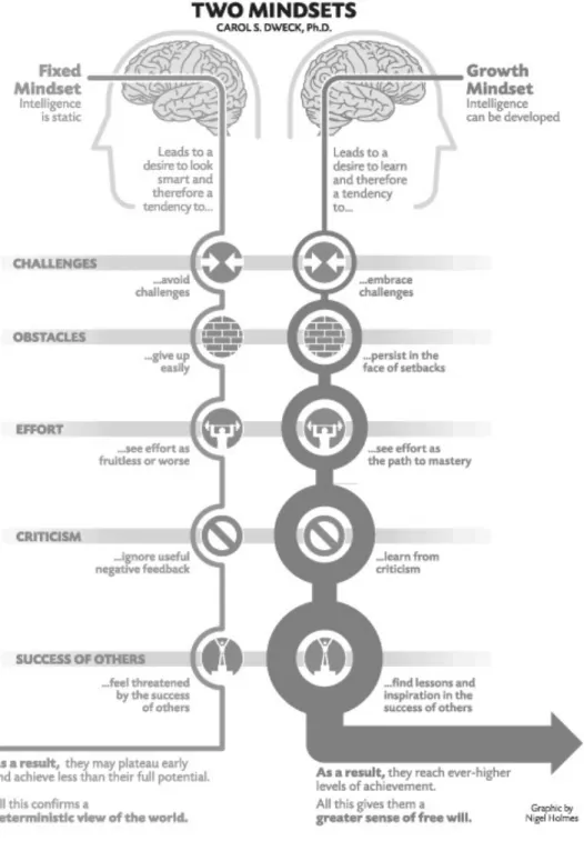 Figure 1: The Two Mindsets by Nigel Holmes 