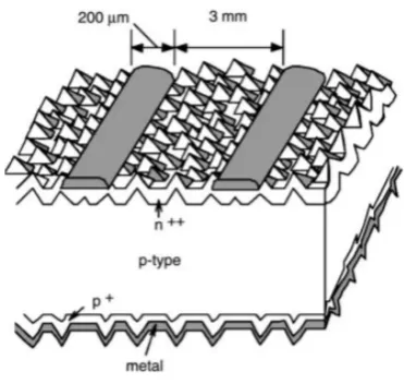 Figure 2.1 Typical screen-printed first-generation solar cell [22]. 