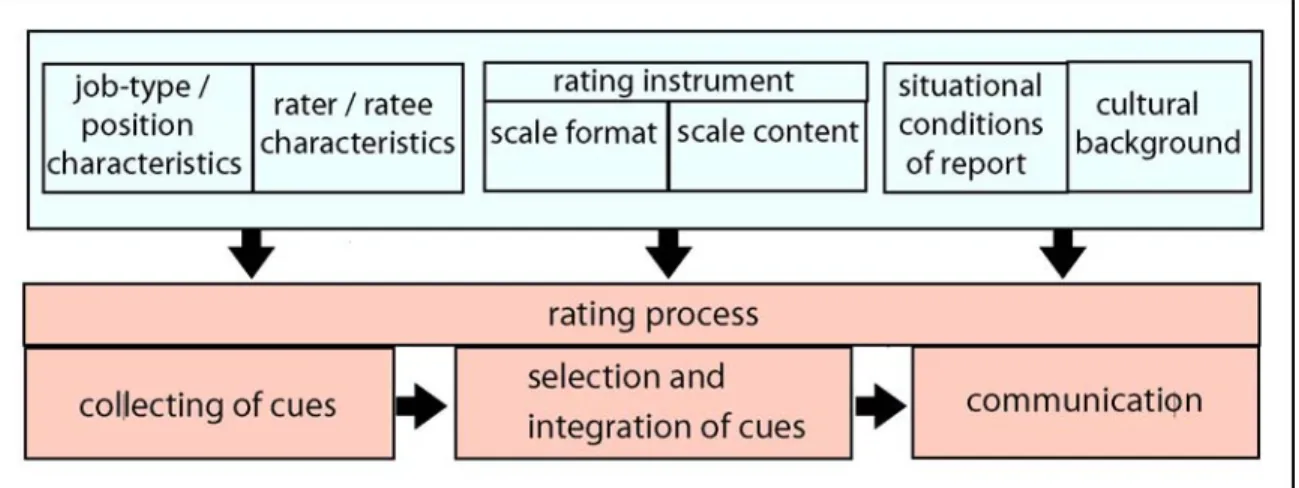 Figure 1: Taxonomy of moderators and process model of performance rating. 