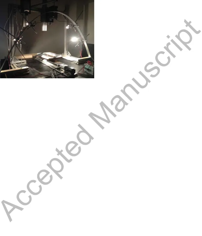 Fig. 2. (a) Compression test using the universal testing machine and (b) stainless steel probe 