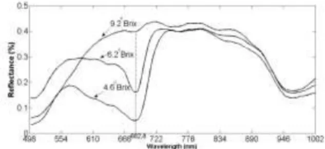 Figure 4 and 5 show the reflectance spectra of three starfruits with  different SSC values ( o Brix) using mask M1 and M2, respectively