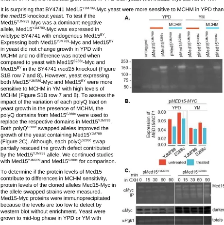 Figure 3 Changes in the gene expression levels of different alleles of Med15 treated with MCHM