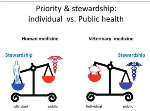 FIGURE 3 | Priority and stewardship for human and veterinarymedicine and the paradigm of prudent use of AMDs.prudent use of AMDs in animals can be insufﬁcient and evencounter-productive