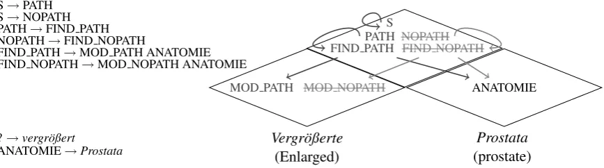 Figure 2: Learning lexical knowledge from sentence Vergr¨oßerte Prostata (Enlarged prostate)