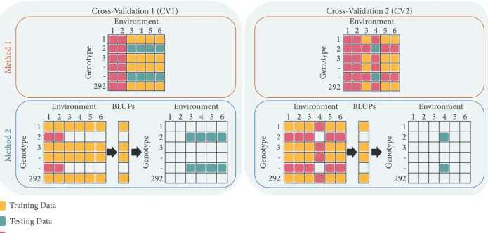 Figure 1: Cross-validation scenarios (CV1 and CV2) and preprocessing methods (Methods 1 and 2) used to assess phenomic prediction model performance