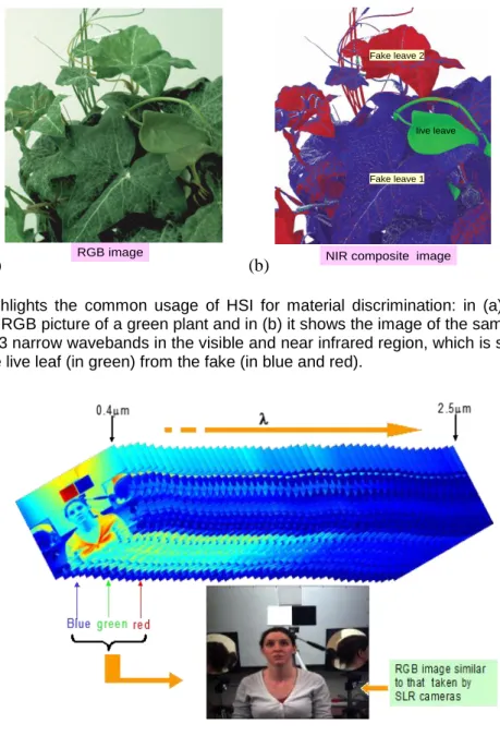 Figure  2-5.  Highlights  the  common  usage  of  HSI  for  material  discrimination:  in  (a)  it  shows  the  3- 3-broad bands of RGB picture of a green plant and in (b) it shows the image of the same plant but using  a composite of 3 narrow wavebands in