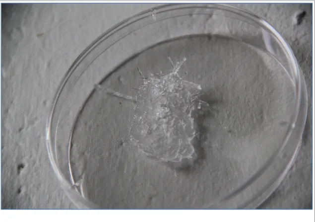 Fig. 4. Mindaugas Gapsevicius. A Piece of "Livable," 2014. Chemicals, water, objects