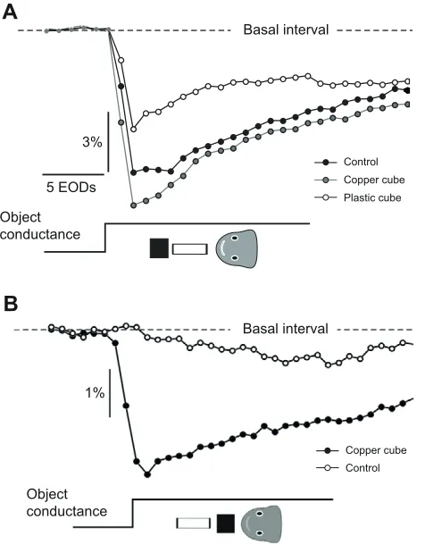 Table 1. Multiple comparison analysis of the effect of the conductance of the farthest object