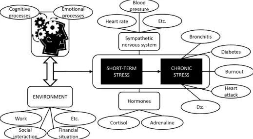 Figure 1.1: Overview of the main processes involved in the development and the effects of stress.
