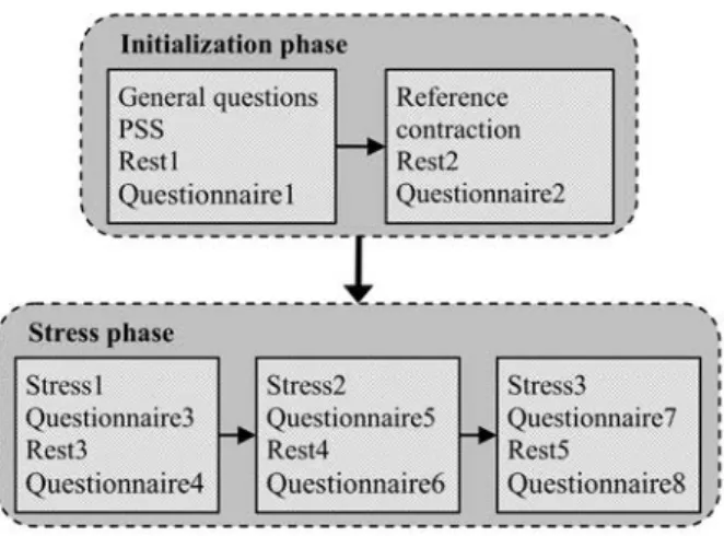 Figure 3.2: Schematic overview of the protocol of the stress experiment.