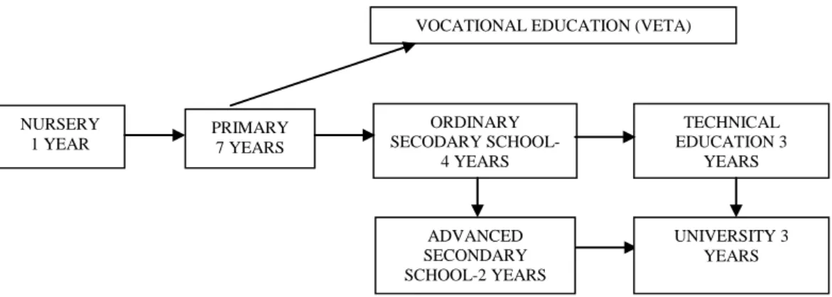 Figure 1.1: Structure of Education in Tanzania   