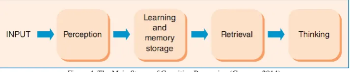 Figure 4. The Main Stages of Cognitive Processing (Groome, 2014)  