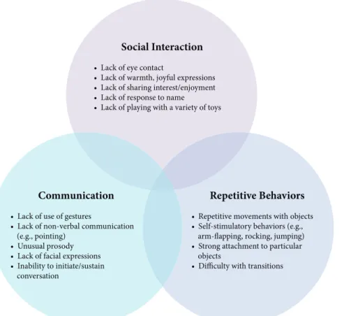 Figure 1. Autism Spectrum Disorder