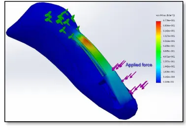 Figure 2 - Reduced mesh of the distal phalanx of the index finger: the mesh was distributed along the fingertip in order to perform the FEM 