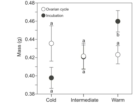 Table 3. Number (and %) of male and female hatchlings for secondclutches of natural (control) and experimental cohorts
