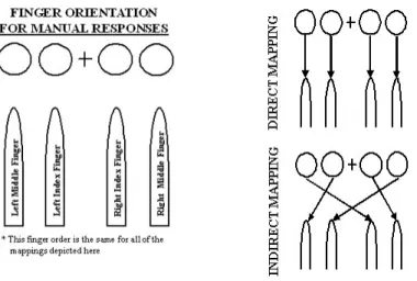 Figure 2.  Experiment 1 Direct and Indirect S-R Mappings 