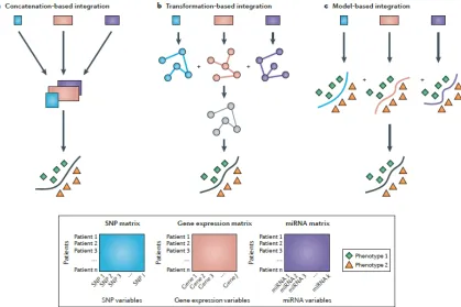 Fig. 2. a) Network1 b) Network2 c) Integrated gene interaction network
