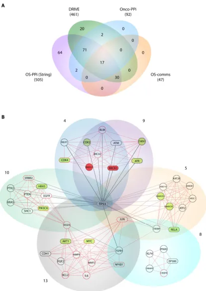 Figure 3. Gene validation and network analysis of the k=9-clique. (a) Comparison of prioritized genes from STRING (OS-PPI), DRIVE Project, OncoPPi network and Cfinder analysis; (b) Network analysis from communities 9, 13, 4, 5 8 and 10 (OS-comms network)