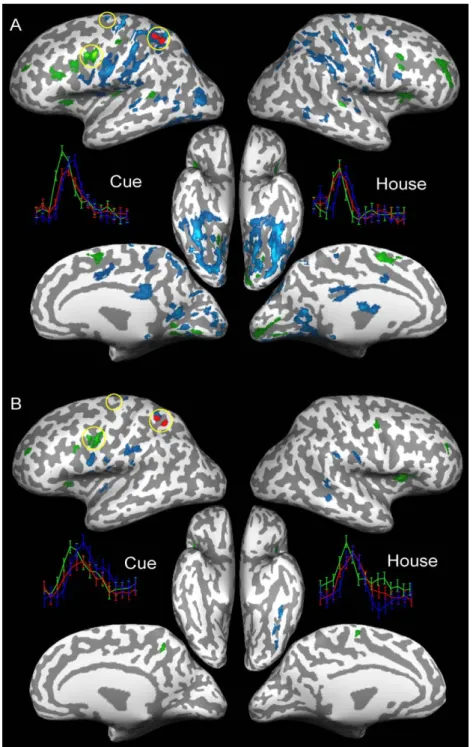 Fig. 5. Thresholded difference GCMs for a region in the left intraparietal sulcus for subject 1 for the fast-switching runs in (A) and the slow-switching runs in (B) as in Fig