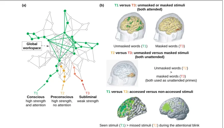 Figure 2. Resolving contradictions in neuroimaging studies. (a) Schematic representation of the global neuronal workspace model