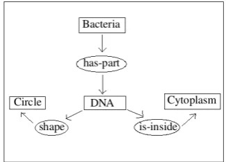 Figure 3: Example of a conceptual graph.