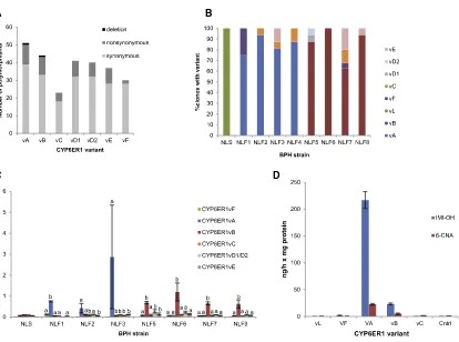 Figure 1. Characterization of CYP6ER1 Variants in BPH Populations(A) Number and type of nucleotide polymorphisms in different CYP6ER1 variants relative to CYP6ER1vL, the variant observed in the lab-susceptible strain.(B and C) Relative expression of CYP6ER