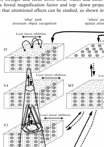 Figure 7. Cortical architecture for hierarchical and attention-based visual perception