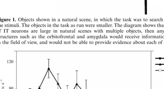 Figure 2. Firing of a temporal cortex cell to an effective stimulus, presented either in a blank background or in a natural scene, as a function of the angle at which the monkey was fixating away from the effective stimulus