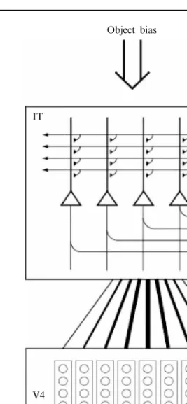 Figure 5. The architecture of the IT model of Trappenberg et al (2002) operating as an attractor network with inputs from the fovea given preferential weighting by the greater magnification factor of the fovea