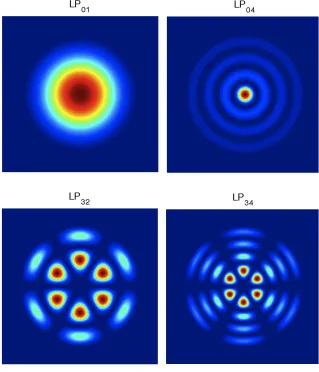 Figure 2.4: Intensity plots for four E modes in multi-mode step-index ﬁber.
