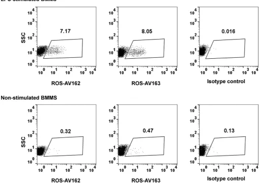 Fig. 6. Circulating IL-10 was detected in the serum from chicken infected withE. tenella at 5 dpi