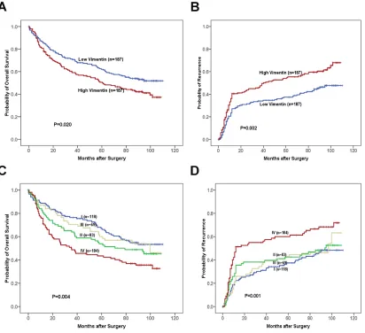 Figure 5: The prognostic significances of vimentin and OPN for HCC patients assessed by Kaplan-Meier analyses