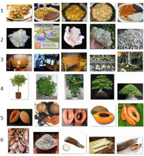Figure 1:Which out-of-vocabulary nouns arecarilloncorresponds to a noun: 1.plausible direct objects for the verb eat? Each row migas, 2