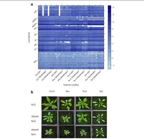 Fig. 1 Lipidomics dataset. An experiment to investigate the abundance of 131 lipid species within 4 different Arabidopsis genotypes in 3 differinglevels of salt stress