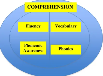 Figure 1. Reading Components 