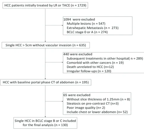 Figure 4: Flowchart for patient inclusion and exclusion.