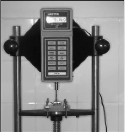 Fig 4 The 4-unit FPD secured to the testing machine by means of 2 C-clamps.