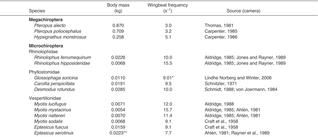 Fig.2. Least-squares regression line for wingbeat frequency vs body massfor data from this study for bats in free flight in the field (N25).