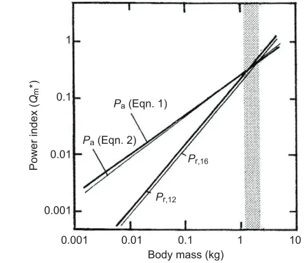 Table 4. Downstroke muscle mass expressed as a fraction of thebody mass in various samples of bats