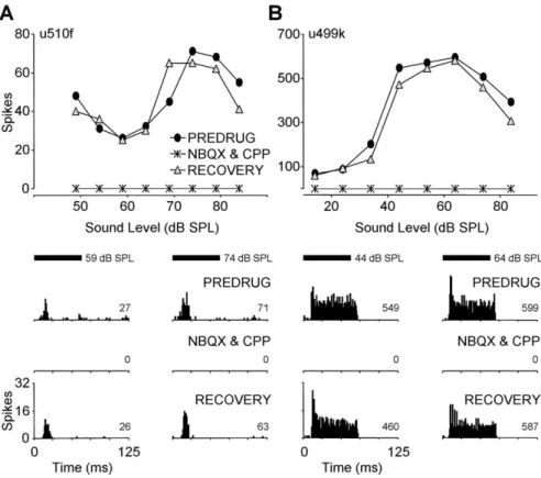 Figure 2. Combined blockade of AMPARs and NMDARs eliminates excitation in IC single units
