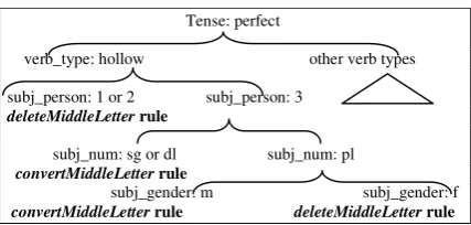 Figure 1: A subtree showing the stem change for per-fect verbs of pattern لعف/faEala/  