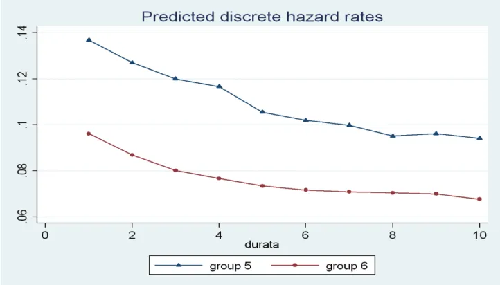 Figure 7 Predicted hazard rates for group 5 and 6 