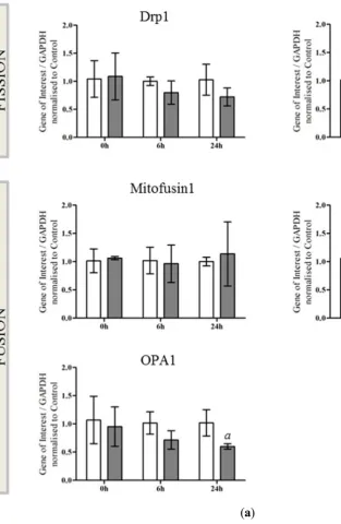 Figure 2. Cont. 