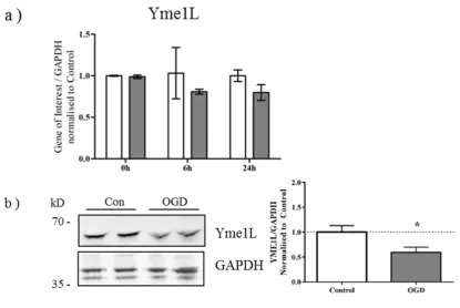 Figure 3. Cont.